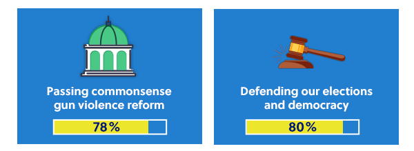 Passing commonsense gun violence reform 78% | Defending our elections and democracy: 80%