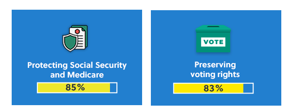 Protecting Social Security and Medicare: 85% | Preserving voting rights: 83%