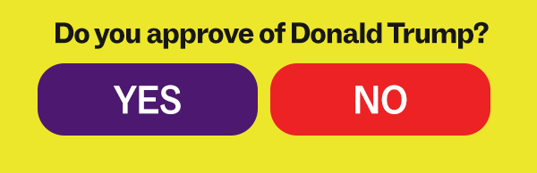 Do you approve of Donald Trump? [YES] [NO]