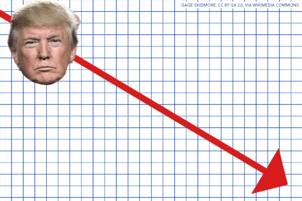GIF of the poll with Donald’s face on a downward slide.