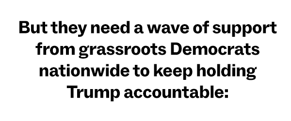 But they need a wave of support from grassroots Democrats nationwide to keep  holding Trump accountable: