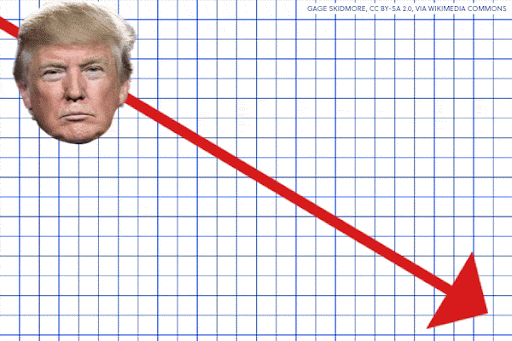 Donald Trump Graphic