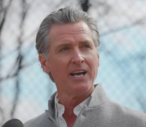 Gavin Newsom